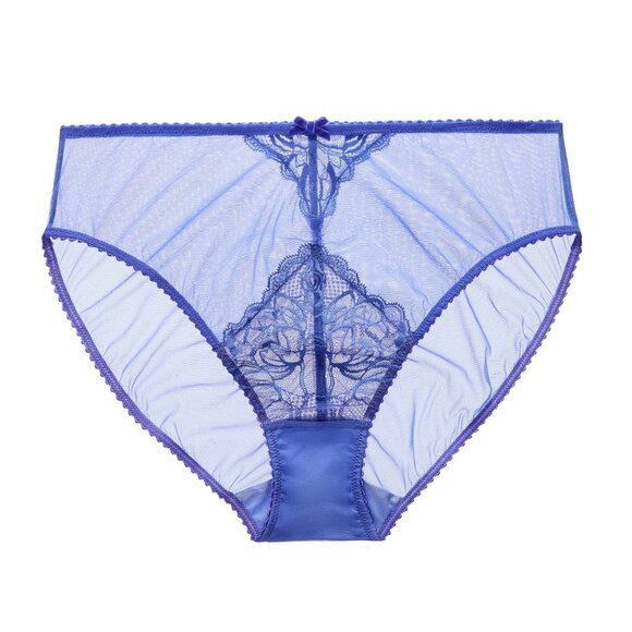 NWT Dita Von Teese Gwendolline Blue Sheer High Waisted Panties Brief Size S - Picture 5 of 5